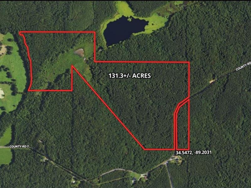 131.3 Acres in Union County in Hick : Hickory Flat : Union County : Mississippi