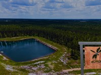 Brandy Branch Lot 2 : Bryceville : Nassau County : Florida