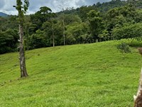 Spectacular and Beautiful Farm : Costa Rica