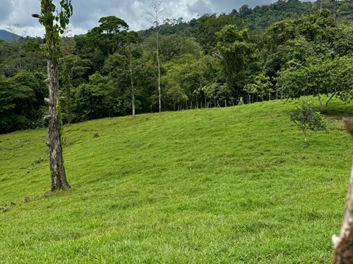 Spectacular and Beautiful Farm : Costa Rica