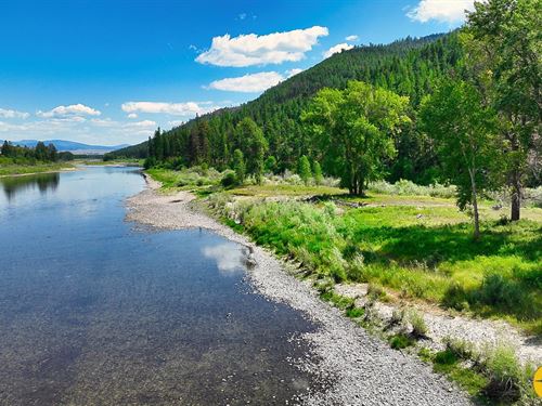 Clark Fork Bluff : Frenchtown : Missoula County : Montana