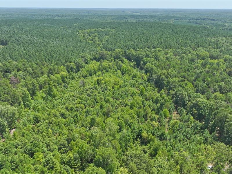 10 Ac in Fluvanna County, VA : Palmyra : Fluvanna County : Virginia