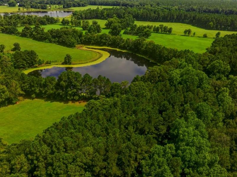 Westside Acres, Tract 2 : Statesboro : Bulloch County : Georgia