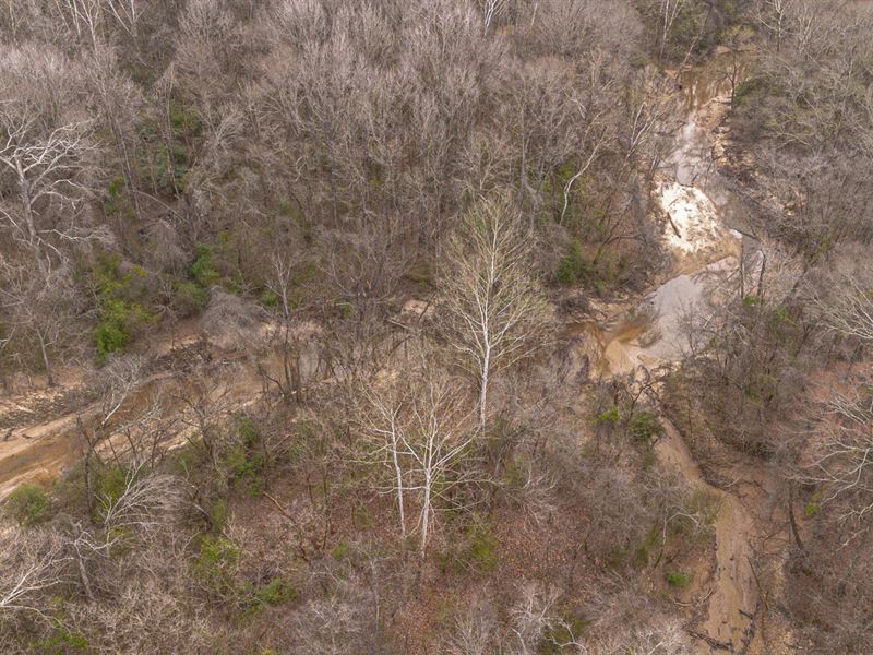Timber and Hunting Near Jackson : Byram : Hinds County : Mississippi