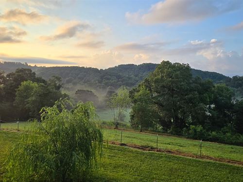 68.54 Acre Farm in Jefferson Cit : Jefferson City : Jefferson County : Tennessee