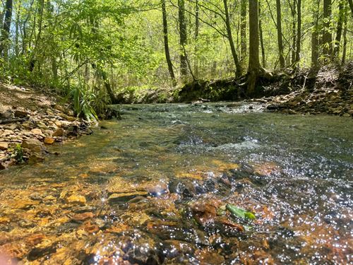 145 Ac on CR 56 : Rockford : Coosa County : Alabama