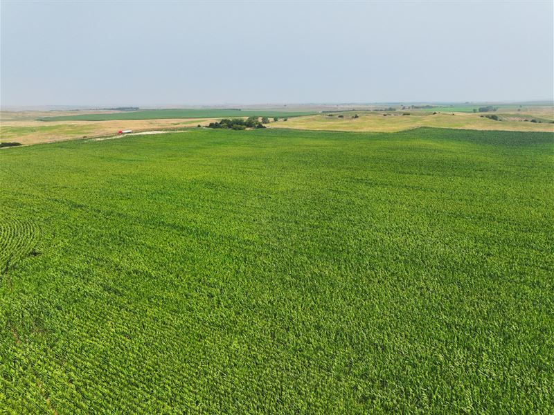 160 Acres, Lincoln County, Old Hwy : North Platte : Lincoln County : Nebraska