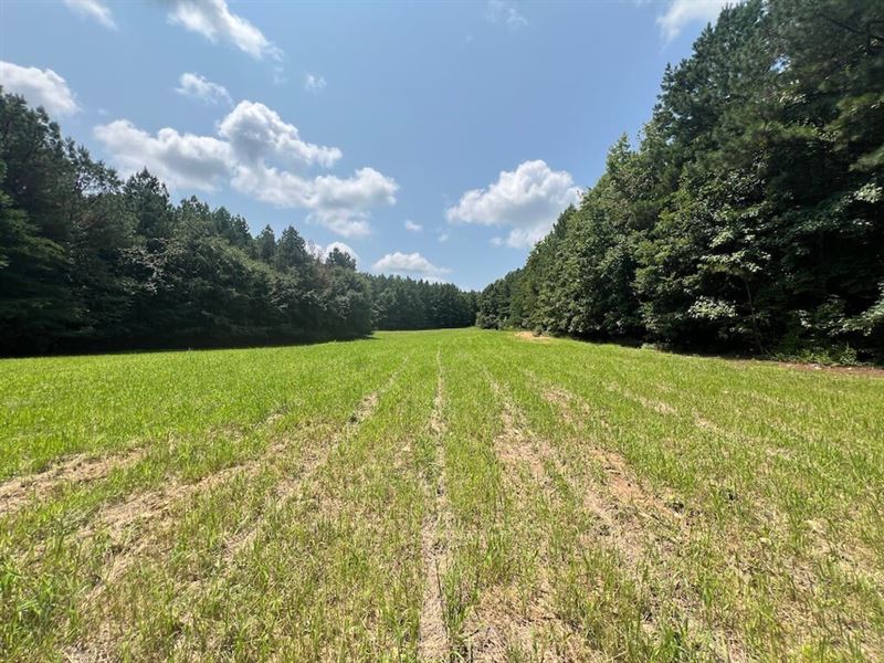 35.42 Acres : Roxboro : Person County : North Carolina