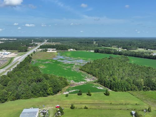 214 Ac of Dev Land Hazlehurst, GA : Hazlehurst : Jeff Davis County : Georgia