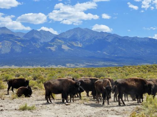 Residential Land with Mountain View : San Luis : Costilla County : Colorado