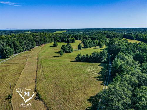 100 Acres on South Tyger River : Woodruff : Spartanburg County : South Carolina
