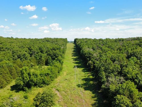 Weaubleau Timber 178 : Weaubleau : Saint Clair County : Missouri