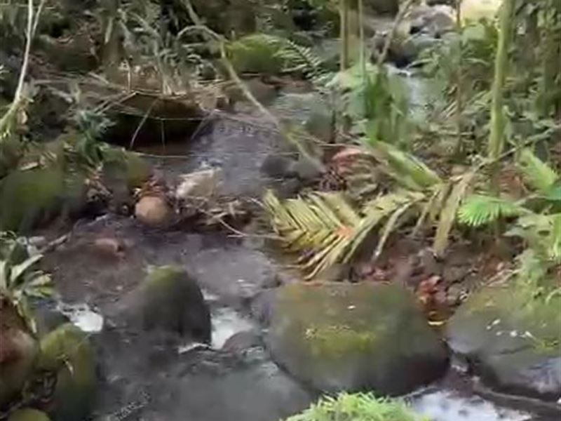 Beautiful Dual Purpose Farm : Guatuso : Costa Rica