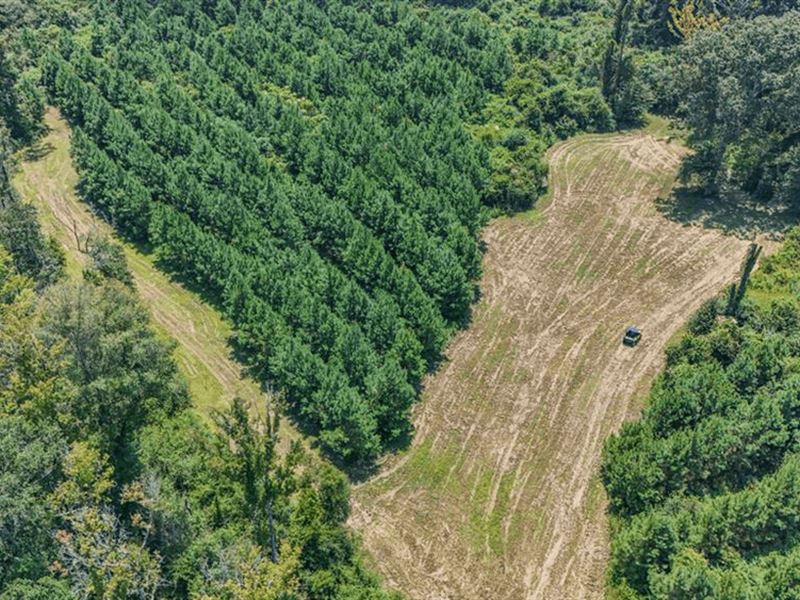 Turn Key 50 Acres in Amite County : Liberty : Amite County : Mississippi