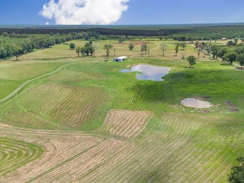 Mississippi Cattle Farm For Sale Pe : Poplarville : Pearl River County : Mississippi