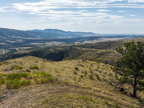 Muley Ridge Ranch : Loveland : Larimer County : Colorado