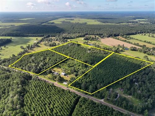 10 Acres, T-6 FM 1013 & CR 517 : Mount Union : Jasper County : Texas