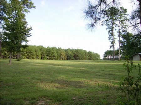 Bring The Horses : What a Deal : Fort Valley : Peach County : Georgia