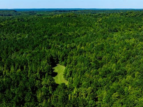 Wilkinson Forest Farm : Gordon : Wilkinson County : Georgia