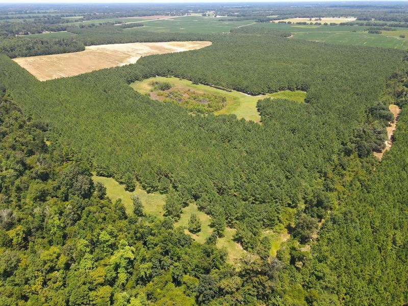 Irrigated Farm Land & Loblolly Pine : Marianna : Jackson County : Florida