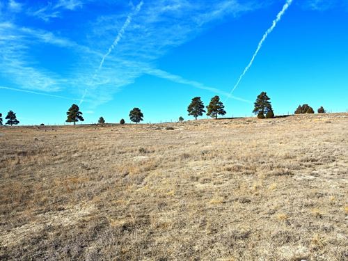 Chama West Land : Chama : Rio Arriba County : New Mexico