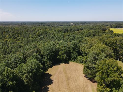 Prime Hunting and Timber : Red Oak : Nash County : North Carolina