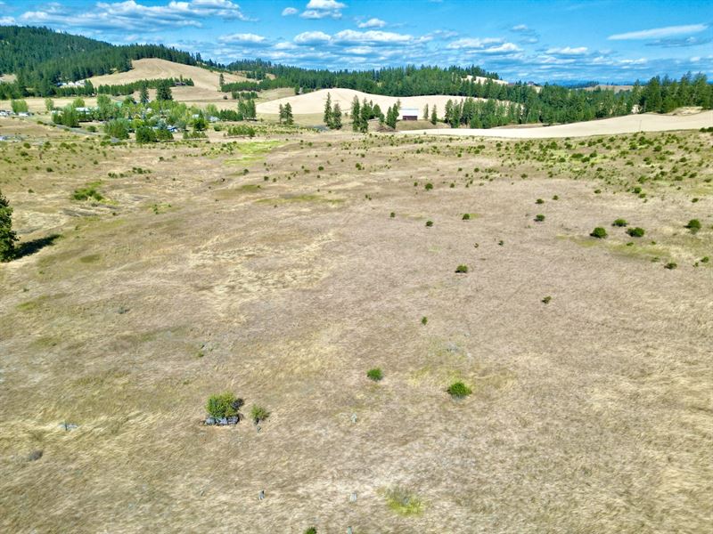 Aitken Road : Kamiah : Idaho County : Idaho