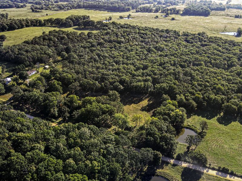 Land for Sale in Southern Missouri : Mountain View : Howell County : Missouri