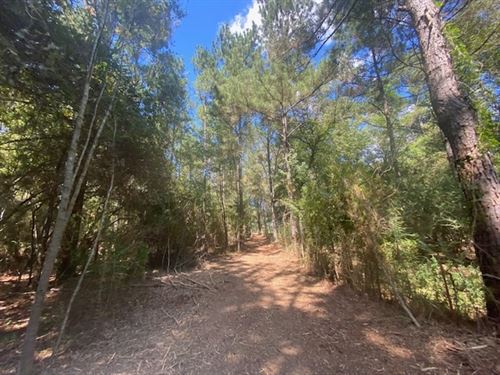 33 Acres, Tylertown, MS : Tylertown : Walthall County : Mississippi