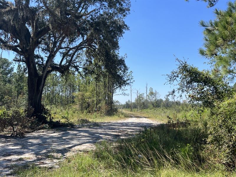 Jones Acres Tract, Ranch for Sale in 383096 RANCHFLIP