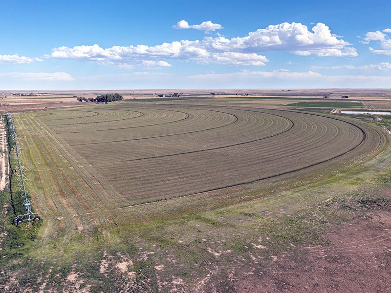 Quality Irrigated Co Land Auction : Wiley : Prowers County : Colorado