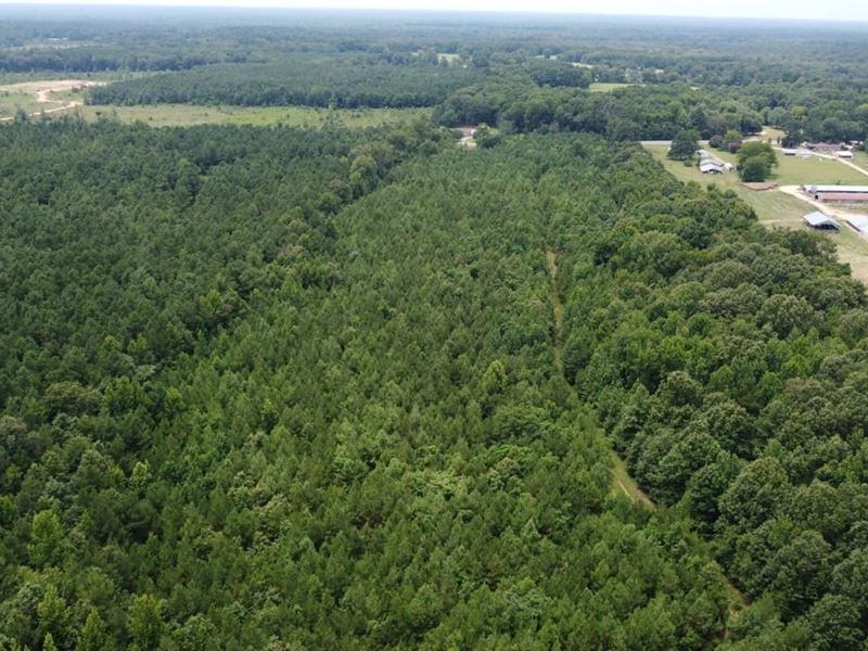 Mercer Hill Tract : Rison : Cleveland County : Arkansas