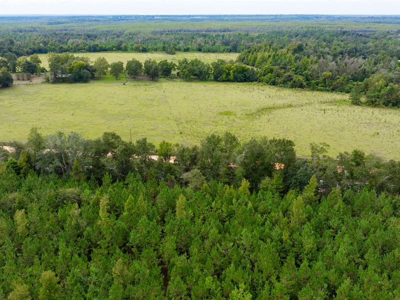 Inwood Farm : Sneads : Jackson County : Florida