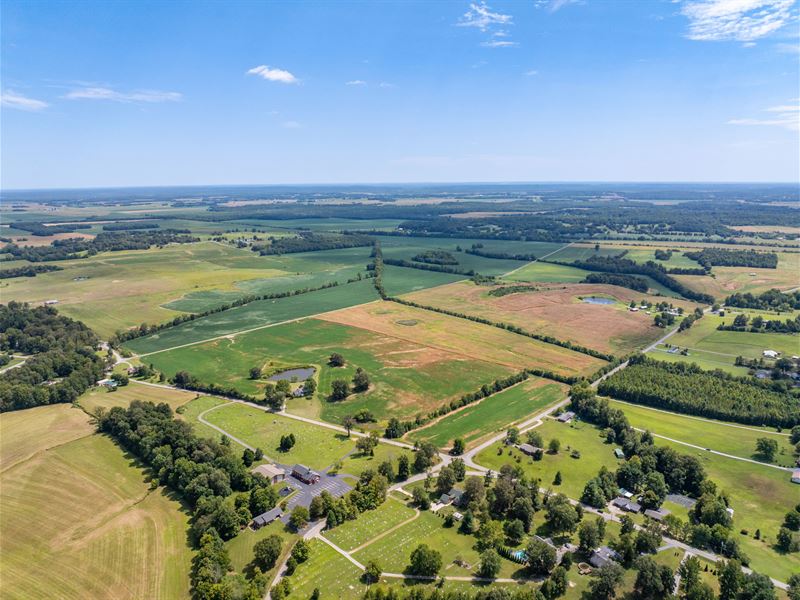 Quality Land Auction, Madisonville : Madisonville : Hopkins County : Kentucky