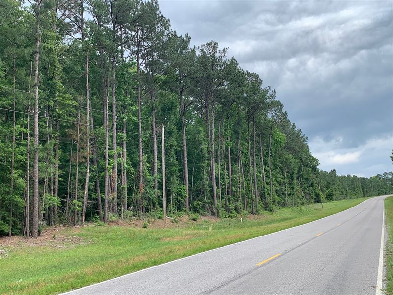 Ferguson Mill Road : Silver Creek : Lawrence County : Mississippi