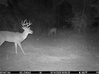 Oregon Trial Hunting Retreat : Greenville : Madison County : Florida