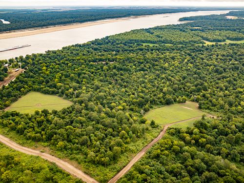 Premier Hunting Property For Sale : Lake Village : Chicot County : Arkansas