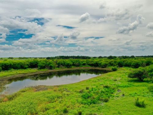 28+ Acres Near San Antonio, TX : D'hanis : Medina County : Texas