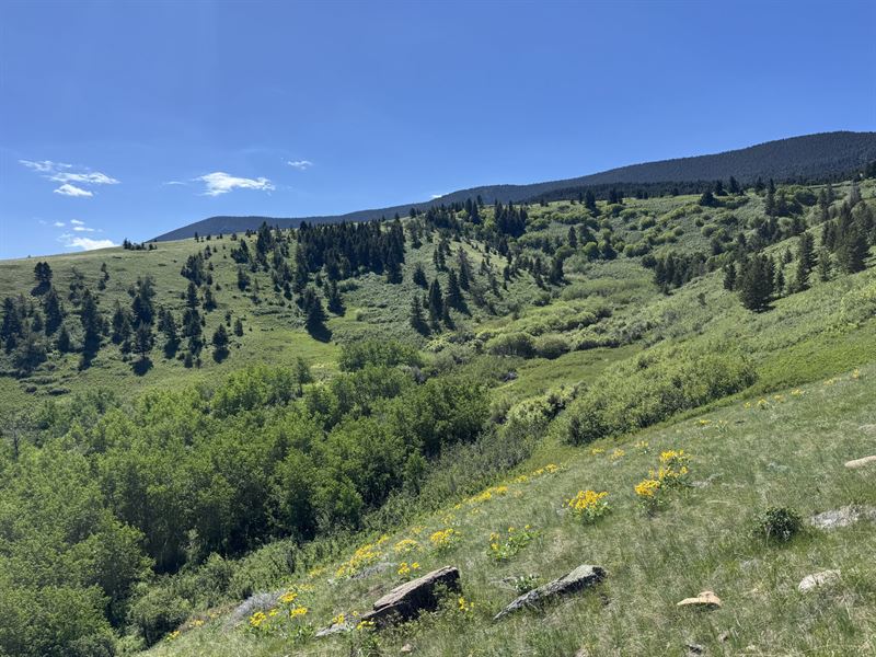 Elk Haven 40 : Livingston : Park County : Montana