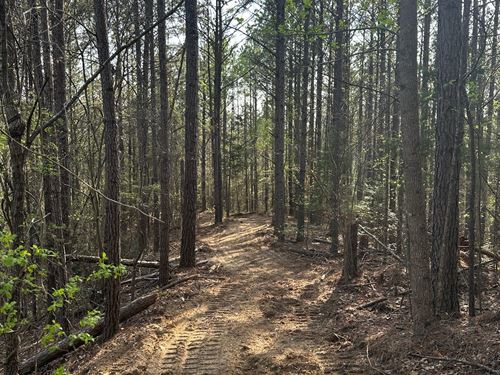 72 Acres in Tuscaloosa County : Moores Bridge : Tuscaloosa County : Alabama