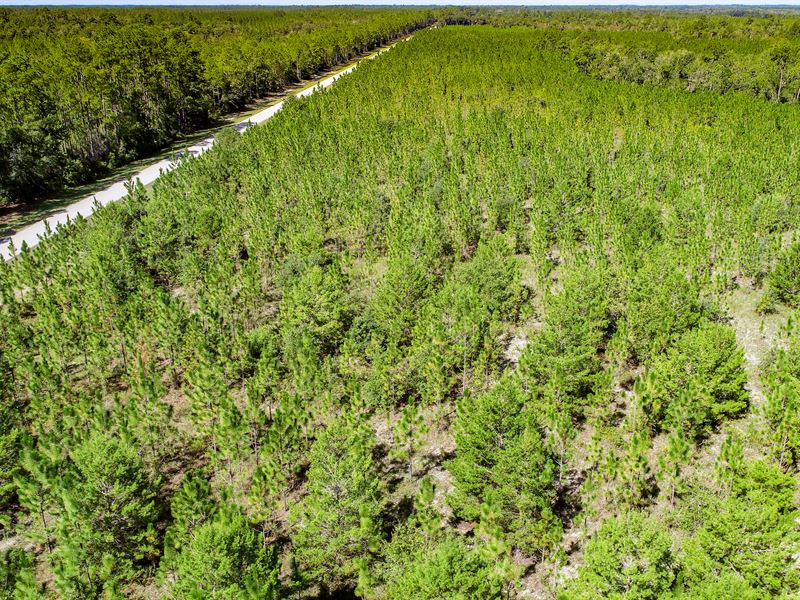 20 Ac Burnt Bridge Farm Nw, Homesi, Ranch for Sale in Florida, 384182