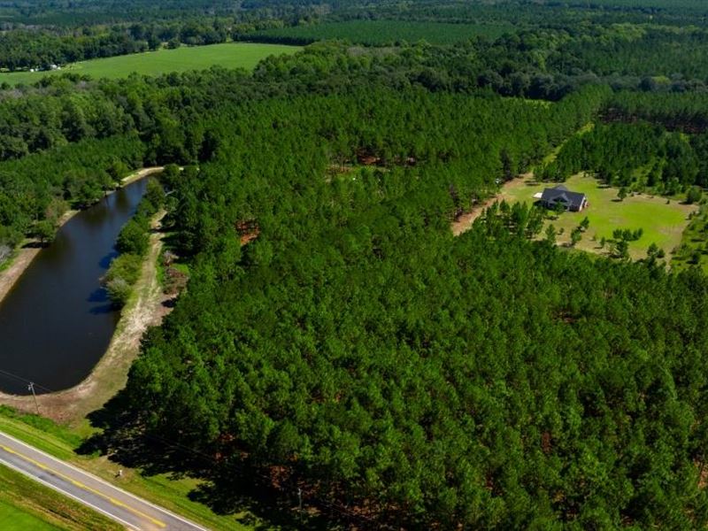 White Tail Homeplace : Claxton : Evans County : Georgia