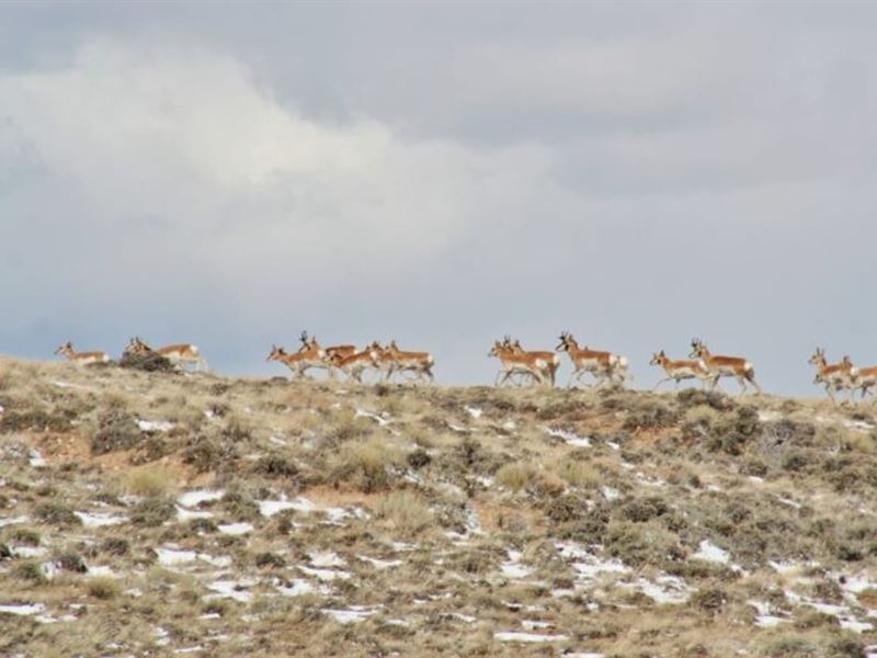 Eagles Nest : Maybell : Moffat County : Colorado