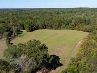 229 Acre Hunting Tract at Gee's Ben : Alberta : Wilcox County : Alabama