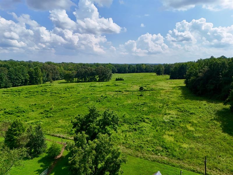 174.73 Acre Clear Creek Retreat Hen : Puryear : Henry County : Tennessee