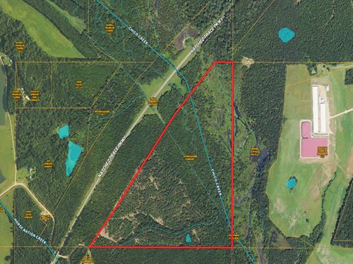 Trace Chico Creek 90 : Houston : Chickasaw County : Mississippi