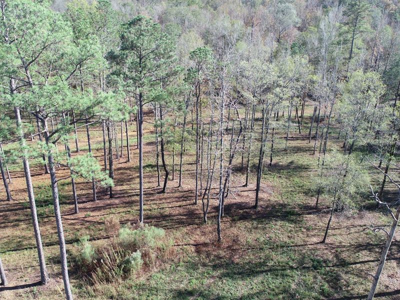 91 Acres / Chelsea Schools : Westover : Shelby County : Alabama