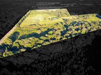 Recreational Hunting Land Winnsboro : Winnsboro : Wood County : Texas