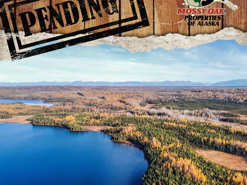 Expansive and Unrestricted Lakefron : Soldotna : Kenai Peninsula Borough : Alaska