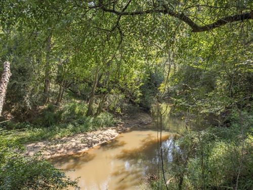 137 Acres For Sale With Comite Rive : Ethel : East Feliciana Parish : Louisiana